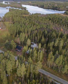 House Arctic Wolf in Blattnicksele